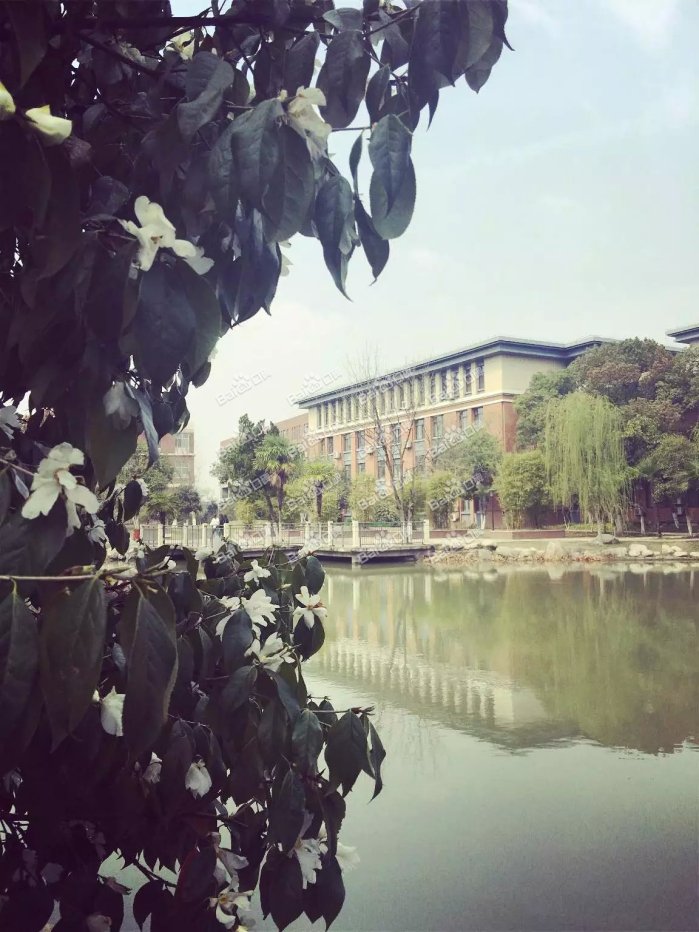 武汉外语外事职业学院